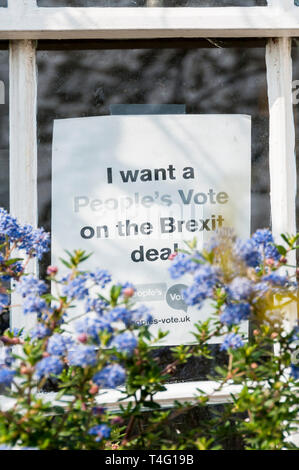 Un segno in una finestra di casa legge voglio un voto popolare sul Brexit trattativa. Foto Stock