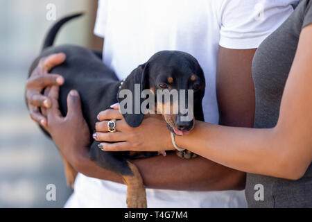 Close up americano africano giovane in amore in piedi con il cane Foto Stock