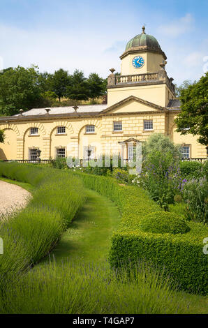 Torre dell Orologio a Castle Hill vicino a Barnstaple North Devon England Regno Unito mostra anche parte della lavanda in bud confine casella e la bordatura Foto Stock