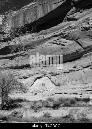 Immagine di antica pittogrammi creati dai nativi americani; Horseshoe Canyon, il Parco Nazionale di Canyonlands, Emery County, Utah, Stati Uniti d'America. Foto Stock