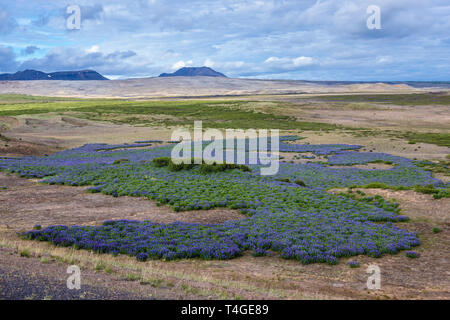 Vista aerea da Namafjall mountain pass vicino città Reykjahlid, Islanda Foto Stock