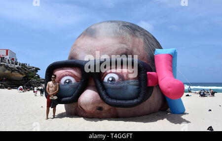 Sydney, Australia - Novembre 4, 2018. Pericolo Dave & Christian Rager: Damien Hirst in cerca di squali. La scultura di mare a Tamarama beach è il mondo l Foto Stock