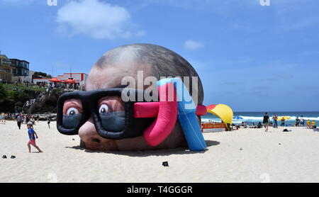 Sydney, Australia - Novembre 4, 2018. Pericolo Dave & Christian Rager: Damien Hirst in cerca di squali. La scultura di mare a Tamarama beach è il mondo l Foto Stock