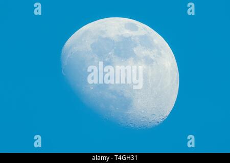 Luna in Waxing Gibbous fase sul giorno cielo blu Foto Stock