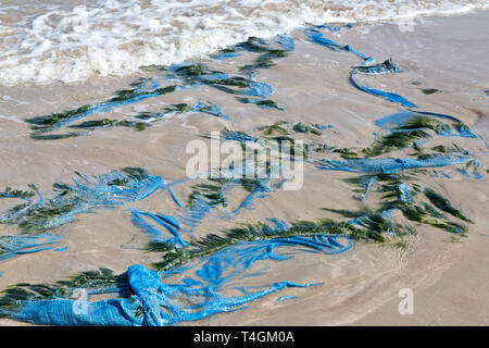 Polipropilene blu tarp lavato sul litorale di spiaggia pubblica, alghe. Foto Stock