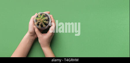 Eco-compatibile. Ragazza con cactus in pentola su sfondo verde con copia spazio, vista dall'alto Foto Stock