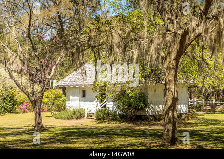 Alloggio slave su una piantagione in Carolina del Sud Foto Stock