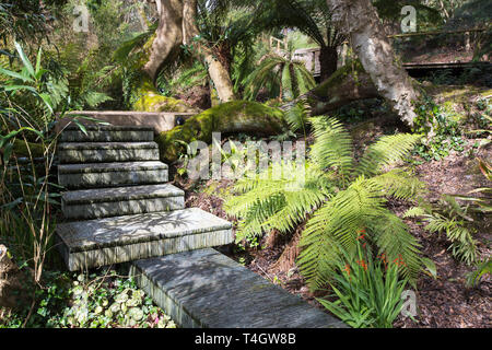 L'ardesia decking in scultura Tremenheere giardini, Gulval, vicino a Penzance, Cornwall, Regno Unito. Foto Stock