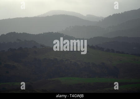 Laminazione creste boscose adiacente a Tomales Bay, come si vede dal punto Reyes National Seashore in un giorno di pioggia Foto Stock