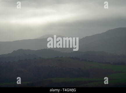 Laminazione creste boscose adiacente a Tomales Bay, come si vede dal punto Reyes National Seashore in un giorno di pioggia. Foto Stock