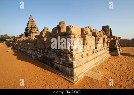 Shore complesso del tempio, Mahabalipuram Kanchipuram, Tamil Nadu, India Foto Stock