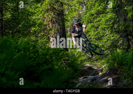 Mountain bike nei pressi di Hafjell in Norvegia durante l'estate. Foto Stock