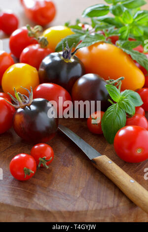 Una variopinta selezione di vecchie varietà di pomodoro con coltello da cucina, alimentare il concetto di diversità Foto Stock