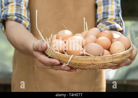 Giovane agricoltore smart usura plaid camicia a maniche lunghe grembiule marrone sono holding fresco uova di pollo nel cestello in una fattoria di pollo in lui home area Foto Stock