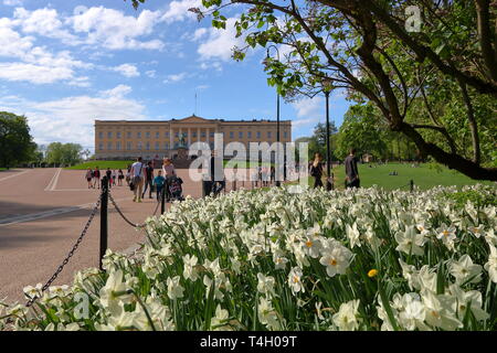 Parcheggiare nelle vicinanze Royal Palace a oslo, Norvegia, bianco bellissimi fiori di primavera fioriscono, verdi alberi, la gente a piedi, edificio del palazzo sull orizzonte. Foto Stock