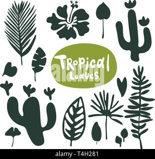 Collezione di foglie di doodle tropicali. Set di silhouette isolate vettoriali su sfondo bianco. Illustrazione Vettoriale