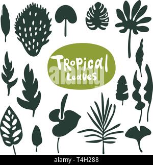 Collezione di foglie di doodle tropicali. Set di silhouette isolate vettoriali su sfondo bianco. Illustrazione Vettoriale