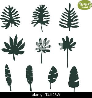 Collezione di foglie di doodle tropicali. Set di silhouette isolate vettoriali su sfondo bianco. Illustrazione Vettoriale