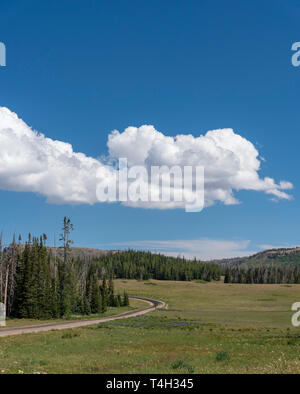 La curvatura strada conduce attraverso verdi pascoli e bosco verde sotto un cielo blu con il bianco fluffyclouds. Foto Stock