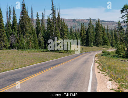 Due lane country road con doppie linee gialle della curvatura nella foresta verde sotto un cielo blu. Foto Stock