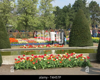 Biancheria da letto colorata visualizza di tulipani & altri bulbi di primavera sono una caratteristica del giardino annuale festival a Keukenhof, Paesi Bassi; Aprile 2019 Foto Stock