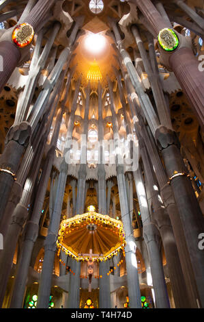Soffitto dell'interno del tempio espiatorio della Sagrada Familia, progettato dall'architetto Antoni Gaudi, Barcellona, ​​Catalonia, Spagna Foto Stock