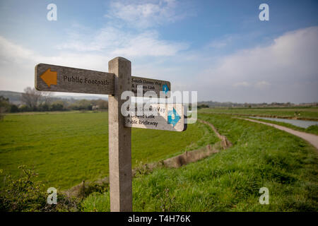 South Downs nearr Bramber, Sussex. Segno di post che mostra Downs Link, South Downs Way e sentiero. Foto Stock