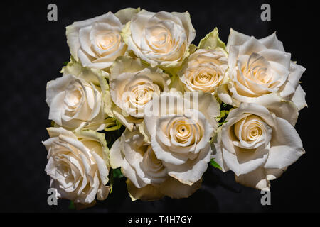 White rose fiori raggruppati su sfondo nero Foto Stock