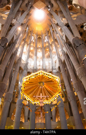 Interno del tempio espiatorio della Sagrada Familia, progettato dall'architetto Antoni Gaudi, Barcellona, ​​Catalonia, Spagna Foto Stock