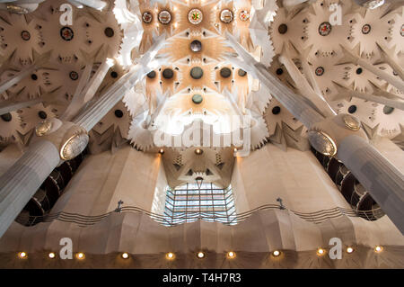 Soffitto dell'interno del tempio espiatorio della Sagrada Familia, progettato dall'architetto Antoni Gaudi, Barcellona, ​​Catalonia, Spagna Foto Stock