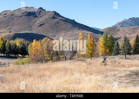 Idaho paesaggio dove alcuni tra il margine inferiore della Sagra della Pecora si verificano Foto Stock