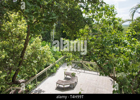 Elevata treetop lookout con semi-cerchio nella foresta monsonica presso il Parco Nazionale di Litchfield nel Territorio Settentrionale dell'Australia Foto Stock