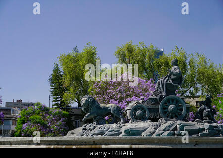 Fuente de Cibeles (Cibels Fontana) situato in un cerchio di traffico in Plaza Villa de Madrid e Plaza Cibeles a Città del Messico Foto Stock