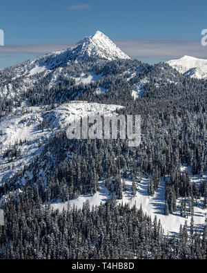 Il rotolamento Forest Hills di Cascade Mountain Range coperto di polvere sul cielo blu giorno Foto Stock