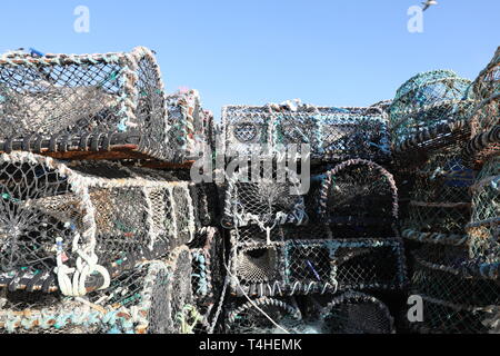 Lobster gabbie su Smeatons Pier St Ives Cornwall Foto Stock