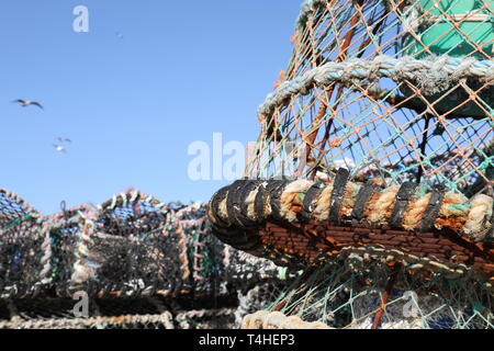 Lobster gabbie su Smeatons Pier St Ives Cornwall Foto Stock