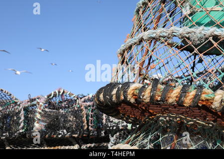 Lobster gabbie su Smeatons Pier St Ives Cornwall Foto Stock