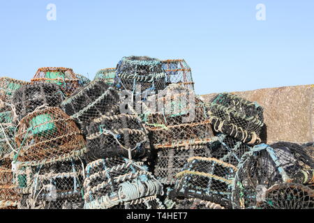 Lobster gabbie su Smeatons Pier St Ives Cornwall Foto Stock