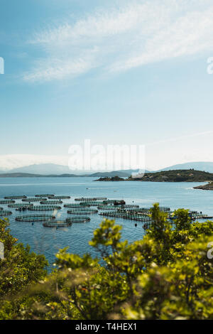 Acqua di mare fattoria di pesce sulle rive del Greco Ioanian isola Corfu come individuato nel corso di una bella giornata d'estate (Corfù, Grecia, Europa) Foto Stock