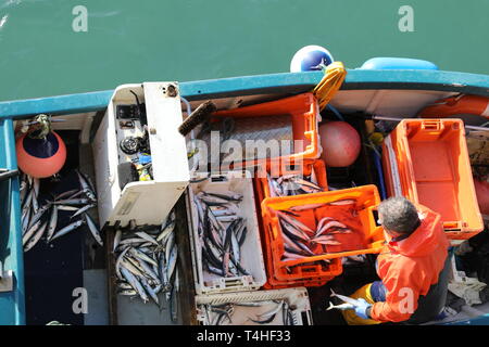 Pescatore in barca in St Ives Birdseye dal di sopra Foto Stock