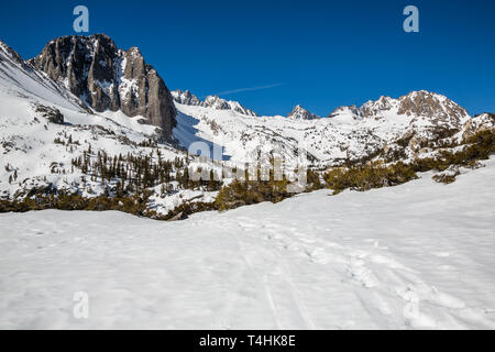 Sentiero escursionistico e lo sci piste della pelle attraverso la neve in North Fork drenaggio di Big Pine Creek. Tempio roccioso, Nord palizzata, picco di Thunderbolt, Moun Foto Stock