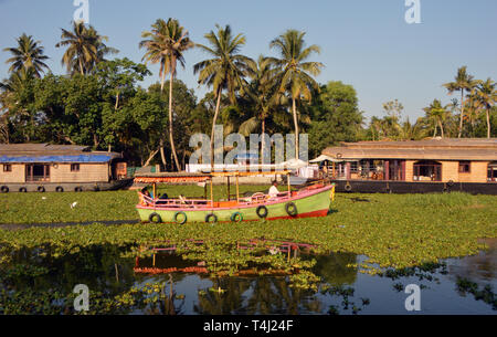 Alappuzha, Indien. Xiii Febbraio, 2019. Viaggio attraverso il retro delle acque in prossimità Alappuzha nel sud dell'India - sole di mattina imposta il paesaggio in una luce calda, presa su 13.02.2019 | Utilizzo di credito in tutto il mondo: dpa/Alamy Live News Foto Stock