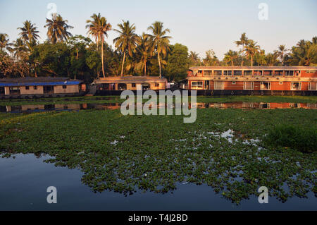 Alappuzha, Indien. Xiii Febbraio, 2019. Guidare attraverso il retro delle acque in prossimità Alappuzha nel sud dell'India - morning sun splende sulle case galleggianti sulla riva, presa su 13.02.2019 | Utilizzo di credito in tutto il mondo: dpa/Alamy Live News Foto Stock