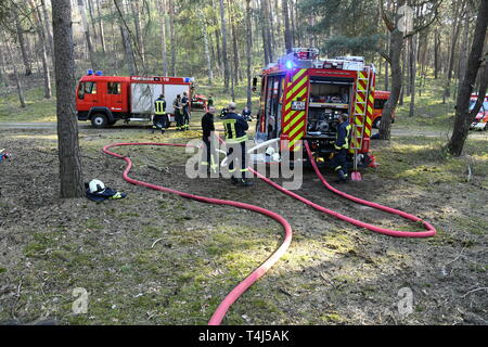 17 aprile 2019, il Land Brandeburgo, Groß Kreutz: In una zona di foresta vicino Groß Kreutz (distretto Potsdam-Mittelmark) camion fuoco sono in piedi tra gli alberi. I vigili del fuoco è stata in grado di contenere il fuoco, come un portavoce per la situazione nel centro di Potsdam detto in serata. Circa 300 metri quadri di foresta avrebbe preso fuoco. Foto: Julian Stähle/dpa-Zentralbild/dpa Foto Stock