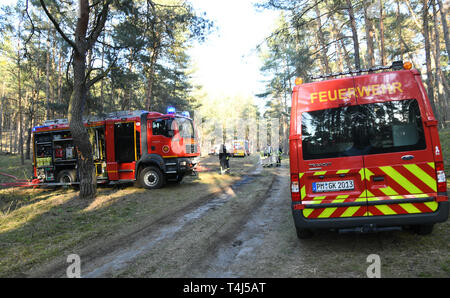 17 aprile 2019, il Land Brandeburgo, Groß Kreutz: In una zona di foresta vicino Groß Kreutz (distretto Potsdam-Mittelmark) ci sono motori antincendio dei vigili del fuoco. I vigili del fuoco è stata in grado di contenere il fuoco, come un portavoce per la situazione nel centro di Potsdam detto in serata. Circa 300 metri quadri di foresta avrebbe preso fuoco. Foto: Julian Stähle/dpa-Zentralbild/dpa Foto Stock