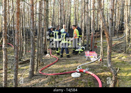 17 aprile 2019, il Land Brandeburgo, Groß Kreutz: In una zona di foresta vicino Groß Kreutz (distretto Potsdam-Mittelmark) ci sono i vigili del fuoco. I vigili del fuoco è stata in grado di contenere il fuoco, come un portavoce per la situazione nel centro di Potsdam detto in serata. Circa 300 metri quadri di foresta avrebbe preso fuoco. Foto: Julian Stähle/dpa-Zentralbild/dpa Foto Stock