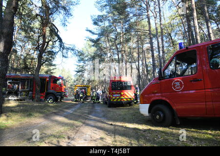 17 aprile 2019, il Land Brandeburgo, Groß Kreutz: In una zona boschiva vicino a Groß Kreutz (Potsdam-Mittelmark distretto), il fuoco di camion dei vigili del fuoco. I vigili del fuoco è stata in grado di contenere il fuoco, come un portavoce per la situazione nel centro di Potsdam detto in serata. Circa 300 metri quadri di foresta avrebbe preso fuoco. Foto: Julian Stähle/dpa-Zentralbild/dpa Foto Stock