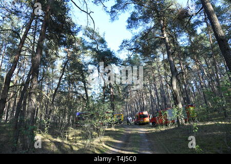 17 aprile 2019, il Land Brandeburgo, Groß Kreutz: In una zona di foresta vicino Groß Kreutz (distretto Potsdam-Mittelmark) ci sono motori antincendio dei vigili del fuoco. I vigili del fuoco è stata in grado di contenere il fuoco, come un portavoce per la situazione nel centro di Potsdam detto in serata. Circa 300 metri quadri di foresta avrebbe preso fuoco. Foto: Julian Stähle/dpa-Zentralbild/dpa Foto Stock