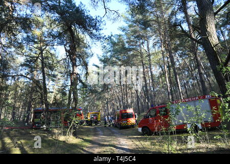 17 aprile 2019, il Land Brandeburgo, Groß Kreutz: In una zona boschiva vicino a Groß Kreutz (Potsdam-Mittelmark distretto), il fuoco di camion dei vigili del fuoco. I vigili del fuoco è stata in grado di contenere il fuoco, come un portavoce per la situazione nel centro di Potsdam detto in serata. Circa 300 metri quadri di foresta avrebbe preso fuoco. Foto: Julian Stähle/dpa-Zentralbild/dpa Foto Stock