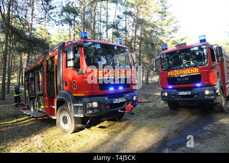 17 aprile 2019, il Land Brandeburgo, Groß Kreutz: In una zona di foresta vicino Groß Kreutz (distretto Potsdam-Mittelmark) ci sono motori antincendio dei vigili del fuoco. I vigili del fuoco è stata in grado di contenere il fuoco, come un portavoce per la situazione nel centro di Potsdam detto in serata. Circa 300 metri quadri di foresta avrebbe preso fuoco. Foto: Julian Stähle/dpa-Zentralbild/dpa Foto Stock